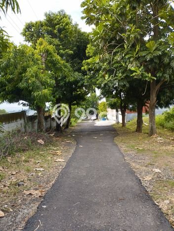 Hunian Elit LB 500m2 Siap Pakai Desain Elegan di Bukit Sari, Semarang Hunian Elit LB 500m2 Siap Pakai Desain Elegan di Bukit Sari, Semarang