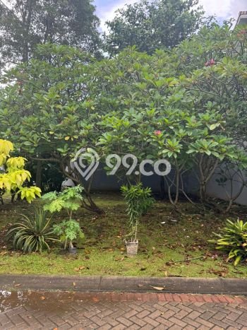 Kavling Tanah untuk Dijual di Bintaro, Tangerang Selatan, Luas 177m2 Kavling Tanah untuk Dijual di Bintaro, Tangerang Selatan, Luas 177m2