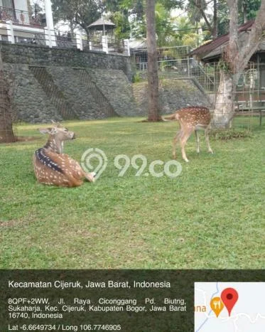 HARGA TERBAIK! Vila Kawasan Cijeruk, Area 2074m2m², Area Prima HARGA TERBAIK! Vila Kawasan Cijeruk, Area 2074m2m², Area Prima