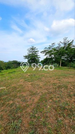 Tanah Komersial Dijual di Pandaan Pasuruan 590m2 Tanah Komersial Dijual di Pandaan Pasuruan 590m2