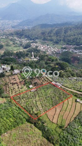 Tanah Dijual Lokasi Bumiaji, Batu Luas 4445m2 Legalitas Aman Tanah Dijual Lokasi Bumiaji, Batu Luas 4445m2 Legalitas Aman