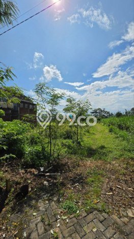 Tanah di Pakis, Malang Luas 148m2 Dijual Segera Tanah di Pakis, Malang Luas 148m2 Dijual Segera