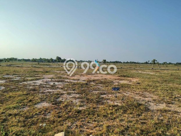 Kavling Tanah di Manyar Dijual Luas 160m2 Legalitas PPJB Kavling Tanah di Manyar Dijual Luas 160m2 Legalitas PPJB