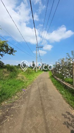 Tanah Dijual Lokasi Bumiaji, Batu Luas 4445m2 Legalitas Aman Tanah Dijual Lokasi Bumiaji, Batu Luas 4445m2 Legalitas Aman