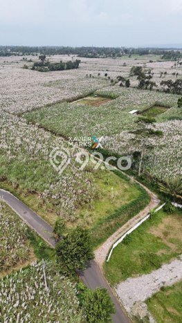 Dijual Tanah Area Premium Kawasan Singosari, Luas 10000m2m², Ideal untuk Pengembangan Dijual Tanah Area Premium Kawasan Singosari, Luas 10000m2m², Ideal untuk Pengembangan