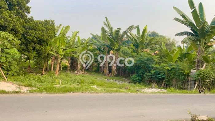 Kavling Tanah untuk Dijual di Bantar Gebang, Bekasi, Luas 2950m2 Kavling Tanah untuk Dijual di Bantar Gebang, Bekasi, Luas 2950m2