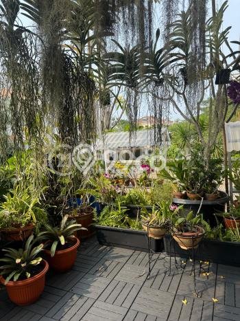 Rumah Luxury Modern Tanpa Renovasi di Pantai Indah Kapuk Jakarta Utara Rumah Luxury Modern Tanpa Renovasi di Pantai Indah Kapuk Jakarta Utara