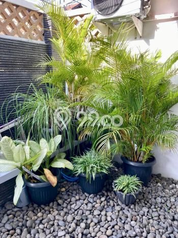 Dijual Cepat Rumah Bagus Siap Huni LB 110m2 di Ciputat, Tangerang Selatan Dijual Cepat Rumah Bagus Siap Huni LB 110m2 di Ciputat, Tangerang Selatan