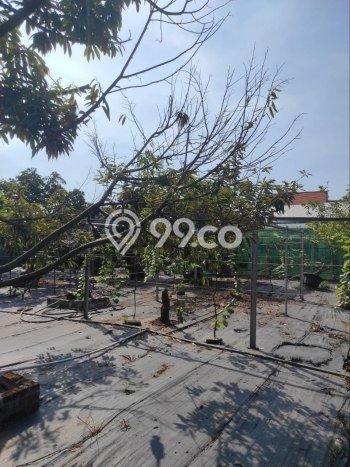 Gudang Paling Dicari LB 850m2 Dijual di Sooko Gudang Paling Dicari LB 850m2 Dijual di Sooko