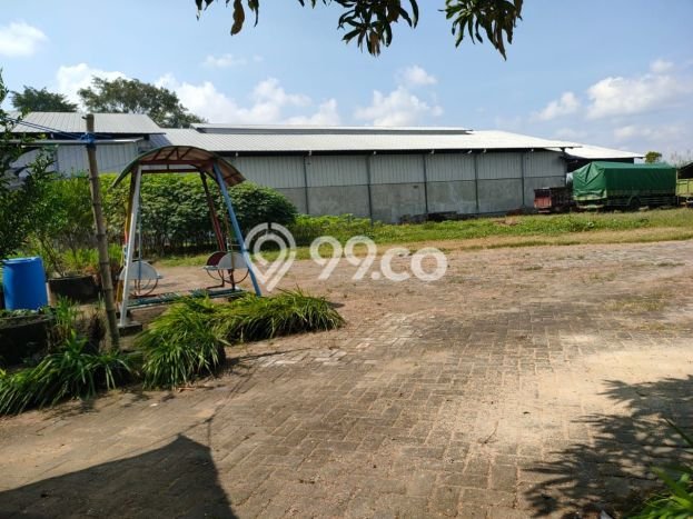 Unit Gudang Dijual di Pagu Kediri Luas Tanah 12500m2, Luas Bangunan 2000m2 Unit Gudang Dijual di Pagu Kediri Luas Tanah 12500m2, Luas Bangunan 2000m2