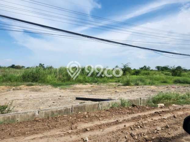 Tanah Komersial Dijual di Manyar Gresik 36000m2 Tanah Komersial Dijual di Manyar Gresik 36000m2