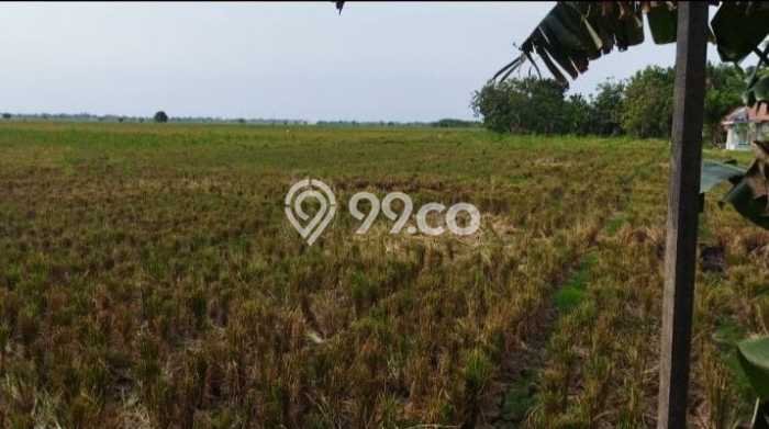 Tanah Dijual Lokasi Jetis, Mojokerto Luas 8200m2 Legalitas Aman Tanah Dijual Lokasi Jetis, Mojokerto Luas 8200m2 Legalitas Aman