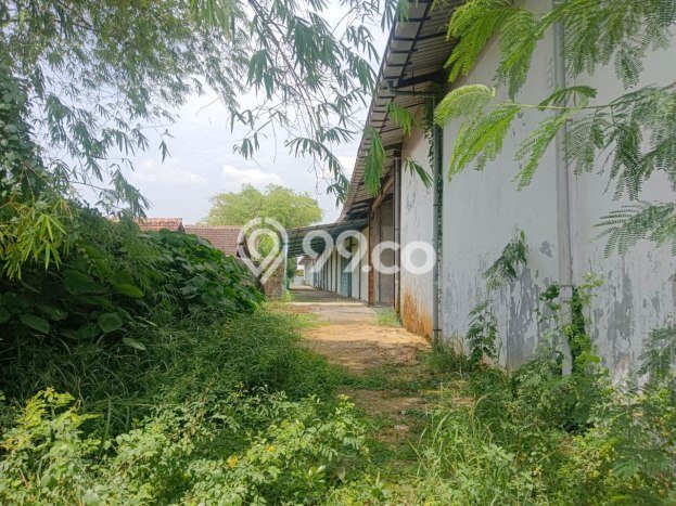 Unit Gudang Dijual di Sukodono Sidoarjo Luas Tanah 10574m2, Luas Bangunan 6000m2 Unit Gudang Dijual di Sukodono Sidoarjo Luas Tanah 10574m2, Luas Bangunan 6000m2