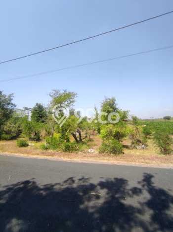 Tanah Kosong Dijual di Nganjuk dengan Area 10092m2 Tanah Kosong Dijual di Nganjuk dengan Area 10092m2
