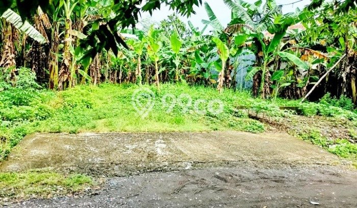 Untuk Dijual Tanah di Krian Sidoarjo Luas 4000m2 - Untuk Dijual Tanah di Krian Sidoarjo Luas 4000m2 -