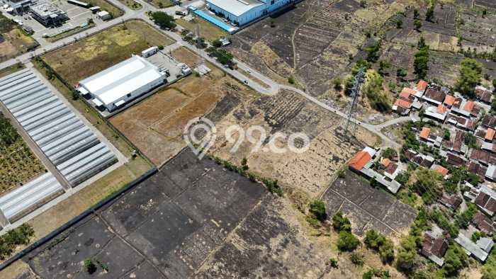 Tanah untuk Dijual Lokasi Rembang, Pasuruan Luas 70000m2 - Tanah untuk Dijual Lokasi Rembang, Pasuruan Luas 70000m2 -