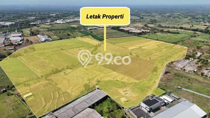 Tanah untuk Dijual Lokasi Rembang, Pasuruan Luas 70000m2 - Tanah untuk Dijual Lokasi Rembang, Pasuruan Luas 70000m2 -