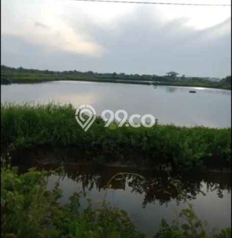 Tanah Kosong Dijual di Sidoarjo dengan Area 50000m2 Tanah Kosong Dijual di Sidoarjo dengan Area 50000m2