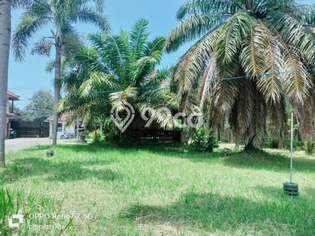 Komersial Dijual di Banyuwangi LT 7405m2, LB 1000m2 Solusi Investasi Cerdas Komersial Dijual di Banyuwangi LT 7405m2, LB 1000m2 Solusi Investasi Cerdas