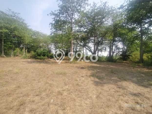 Dijual Tanah 32281m2 di Mojokerto, Mojokerto Dijual Tanah 32281m2 di Mojokerto, Mojokerto