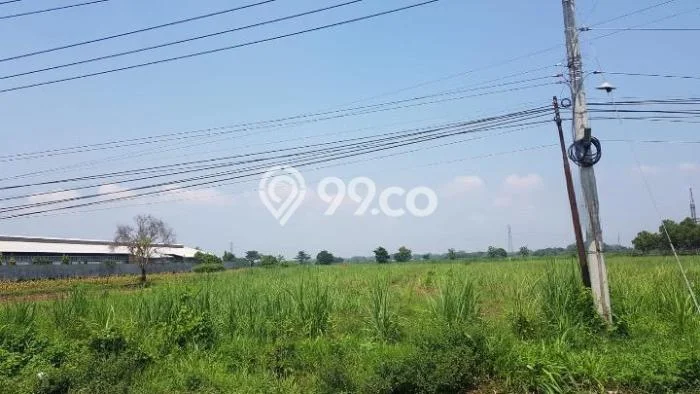 Tanah Area Prospektif Kawasan Mojoagung, Luas 17500m2m², Akses ke Pusat Kota, Lingkungan Nyaman Tanah Area Prospektif Kawasan Mojoagung, Luas 17500m2m², Akses ke Pusat Kota, Lingkungan Nyaman