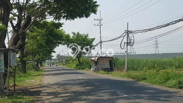 Tanah Area Prospektif Kawasan Mojoagung, Luas 17500m2m², Akses ke Pusat Kota, Lingkungan Nyaman Tanah Area Prospektif Kawasan Mojoagung, Luas 17500m2m², Akses ke Pusat Kota, Lingkungan Nyaman