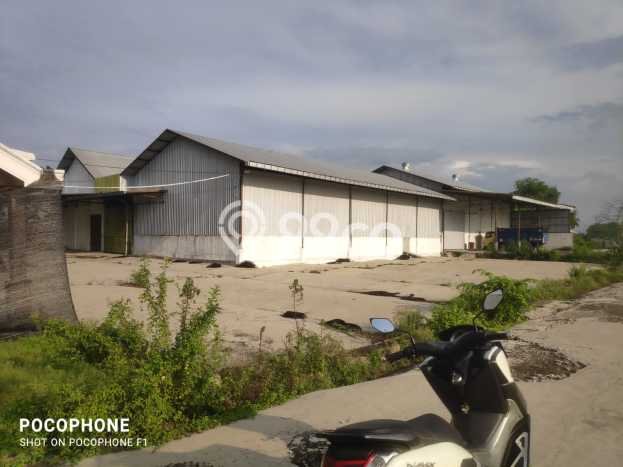 Dijual Gudang di Baureno, Bojonegoro Harga Penawaran Spesial Dijual Gudang di Baureno, Bojonegoro Harga Penawaran Spesial