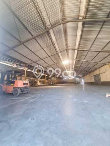 Gudang Disewakan Lokasi Benowo Surabaya Harga Spesial! Gudang Disewakan Lokasi Benowo Surabaya Harga Spesial!