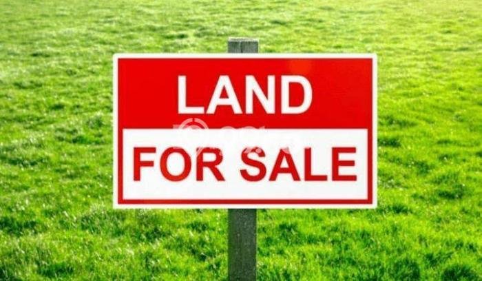 Tanah Strategis Dijual di Driyorejo Gresik 48000m2 Tanah Strategis Dijual di Driyorejo Gresik 48000m2
