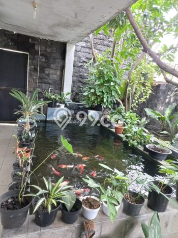 Rumah Luxury Modern Tanpa Renovasi di Sukomanunggal Surabaya Rumah Luxury Modern Tanpa Renovasi di Sukomanunggal Surabaya