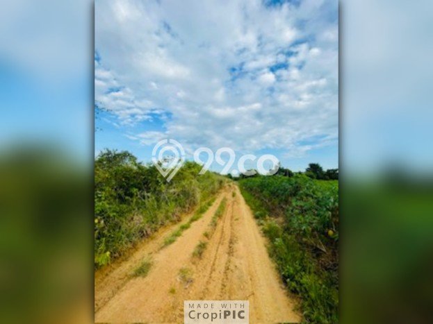 Dijual Tanah Lokasi Prima Kawasan Way Pengubuan, Luas 42680m², Dekat Way Pengubuan, Lampung Tengah, Lampung Tengah Dijual Tanah Lokasi Prima Kawasan Way Pengubuan, Luas 42680m², Dekat Way Pengubuan, Lampung Tengah, Lampung Tengah
