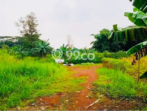 Tanah Premium di , Luas 3800m2m², Ideal untuk Investasi Tanah Premium di , Luas 3800m2m², Ideal untuk Investasi