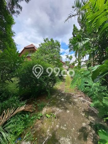Siap Huni Rumah Mewah 3 Kamar di Menteng Dekat ke Mana Saja Siap Huni Rumah Mewah 3 Kamar di Menteng Dekat ke Mana Saja