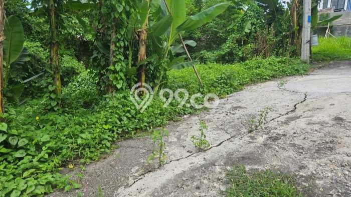 Tanah Kavling Dijual di Tabanan dengan Spesifikasi 505m2 Tanah Kavling Dijual di Tabanan dengan Spesifikasi 505m2