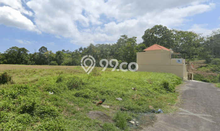 Tanah Kavling Dijual di Tabanan dengan Spesifikasi 505m2 Tanah Kavling Dijual di Tabanan dengan Spesifikasi 505m2