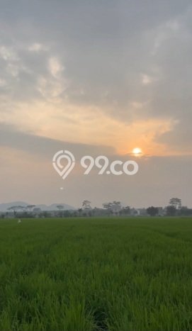 Lahan Kosong Dijual di Cicalengka, Bandung, Luas 1498m2 Area Strategis Lahan Kosong Dijual di Cicalengka, Bandung, Luas 1498m2 Area Strategis