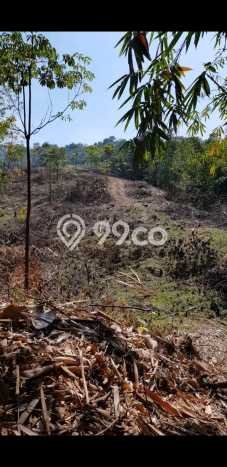 Kavling Tanah Dijual di Cipanas Lebak Spesifikasi 26000m2 Kavling Tanah Dijual di Cipanas Lebak Spesifikasi 26000m2