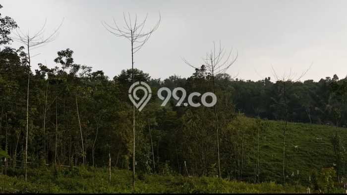 Kavling Tanah Dijual di Cipanas Lebak Spesifikasi 26000m2 Kavling Tanah Dijual di Cipanas Lebak Spesifikasi 26000m2