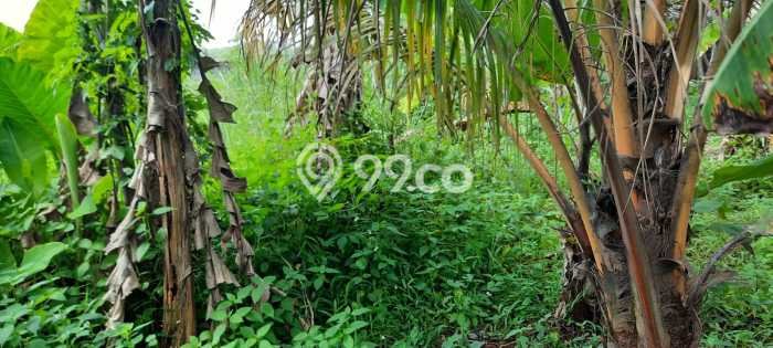Tanah Dijual Lokasi Sawangan Depok - Tanah Dijual Lokasi Sawangan Depok -