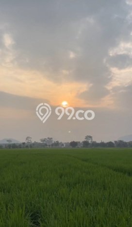 Lahan Kosong Dijual di Cicalengka, Bandung, Luas 1498m2 Area Strategis Lahan Kosong Dijual di Cicalengka, Bandung, Luas 1498m2 Area Strategis