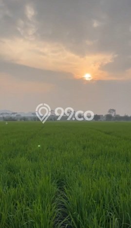 Lahan Kosong Dijual di Cicalengka, Bandung, Luas 1498m2 Area Strategis Lahan Kosong Dijual di Cicalengka, Bandung, Luas 1498m2 Area Strategis