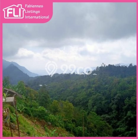 Tanah untuk Dijual Lokasi Sukasada, Buleleng Luas 65000m2 SHM Tanah untuk Dijual Lokasi Sukasada, Buleleng Luas 65000m2 SHM