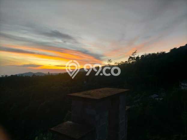 Tanah untuk Dijual Lokasi Sukasada, Buleleng Luas 65000m2 SHM Tanah untuk Dijual Lokasi Sukasada, Buleleng Luas 65000m2 SHM
