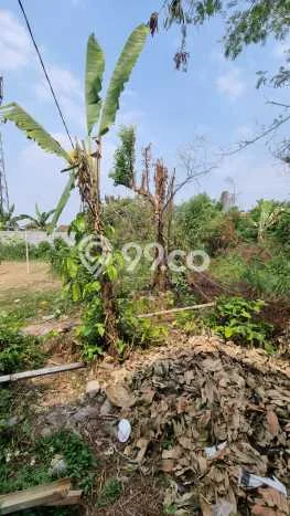 Tanah Dijual Area Strategis di Kedung Halang Bogor 2346m2 Tanah Dijual Area Strategis di Kedung Halang Bogor 2346m2