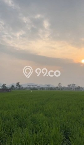 Lahan Kosong Dijual di Cicalengka, Bandung, Luas 1498m2 Area Strategis Lahan Kosong Dijual di Cicalengka, Bandung, Luas 1498m2 Area Strategis