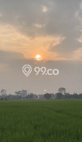 Lahan Kosong Dijual di Cicalengka, Bandung, Luas 1498m2 Area Strategis Lahan Kosong Dijual di Cicalengka, Bandung, Luas 1498m2 Area Strategis