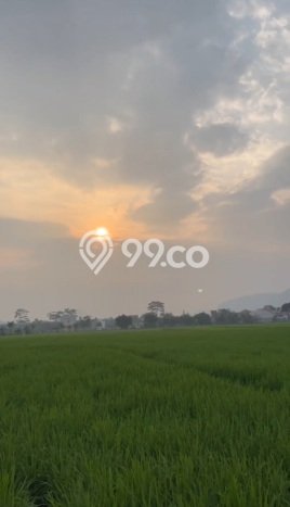 Lahan Kosong Dijual di Cicalengka, Bandung, Luas 1498m2 Area Strategis Lahan Kosong Dijual di Cicalengka, Bandung, Luas 1498m2 Area Strategis