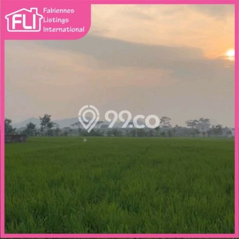 Lahan Kosong Dijual di Cicalengka, Bandung, Luas 1498m2 Area Strategis Lahan Kosong Dijual di Cicalengka, Bandung, Luas 1498m2 Area Strategis