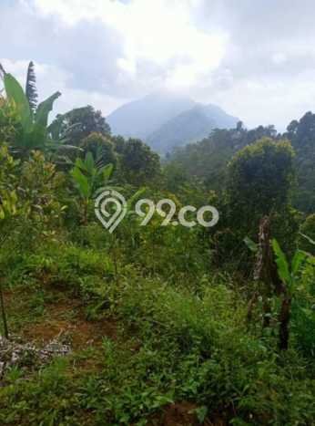 Tanah untuk Dijual Lokasi Sukasada, Buleleng Luas 65000m2 SHM Tanah untuk Dijual Lokasi Sukasada, Buleleng Luas 65000m2 SHM