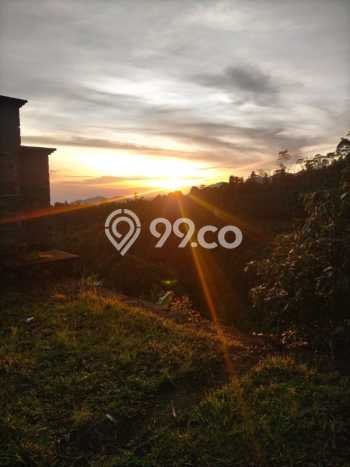 Tanah untuk Dijual Lokasi Sukasada, Buleleng Luas 65000m2 SHM Tanah untuk Dijual Lokasi Sukasada, Buleleng Luas 65000m2 SHM